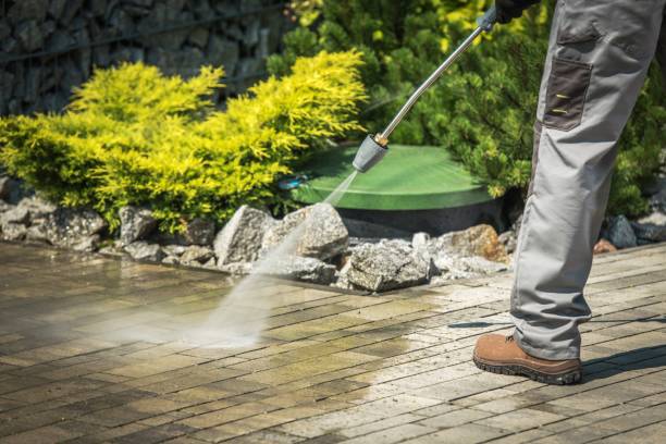 Best Sidewalk and Walkway Cleaning  in Fort Myers, FL
